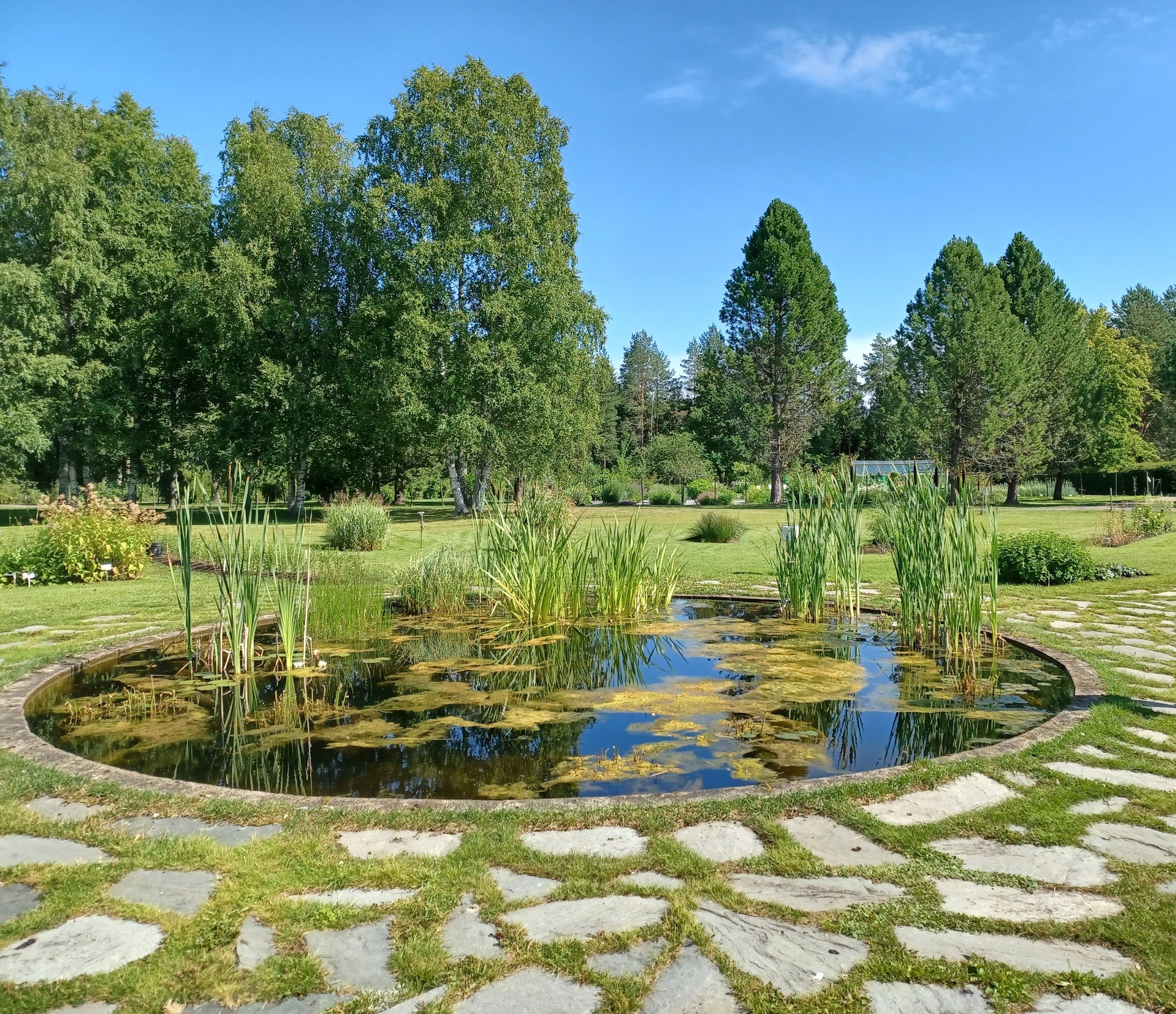 University of Oulu Botanical Gardens